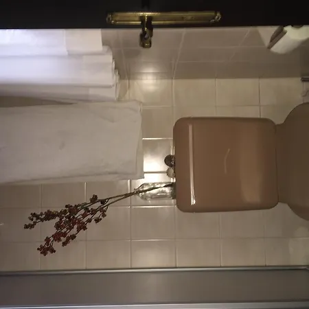 Cresta Di Appartamento Saas-Grund